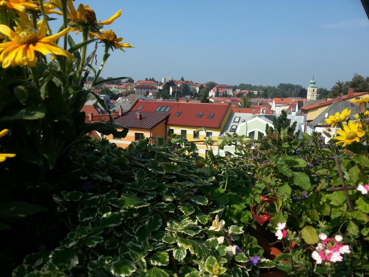 Antik Sofia Hotel Litomyšl